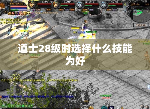 道士28级时选择什么技能为好