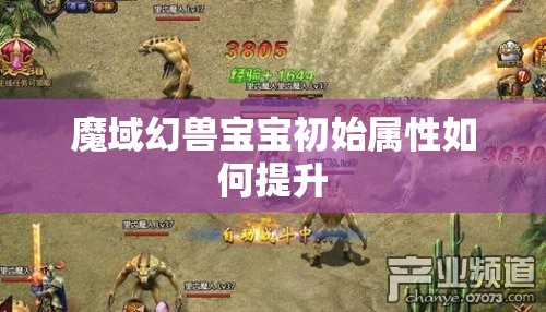 魔域幻兽宝宝初始属性如何提升
