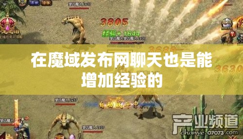 在魔域发布网聊天也是能增加经验的