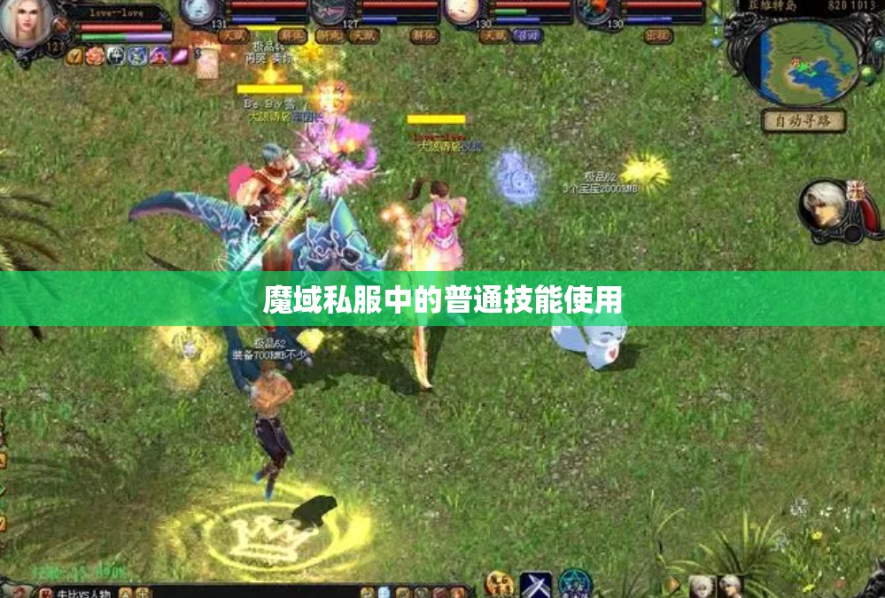 魔域私服中的普通技能使用