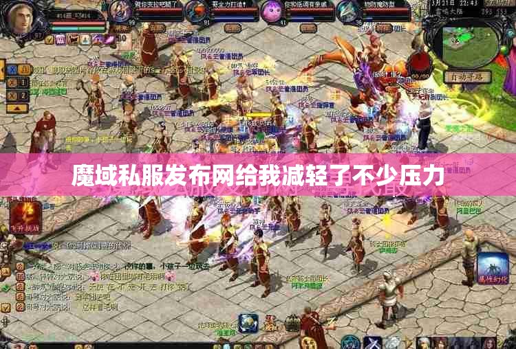 魔域私服发布网给我减轻了不少压力