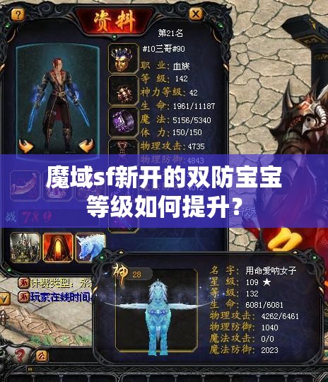 魔域sf新开的双防宝宝等级如何提升？