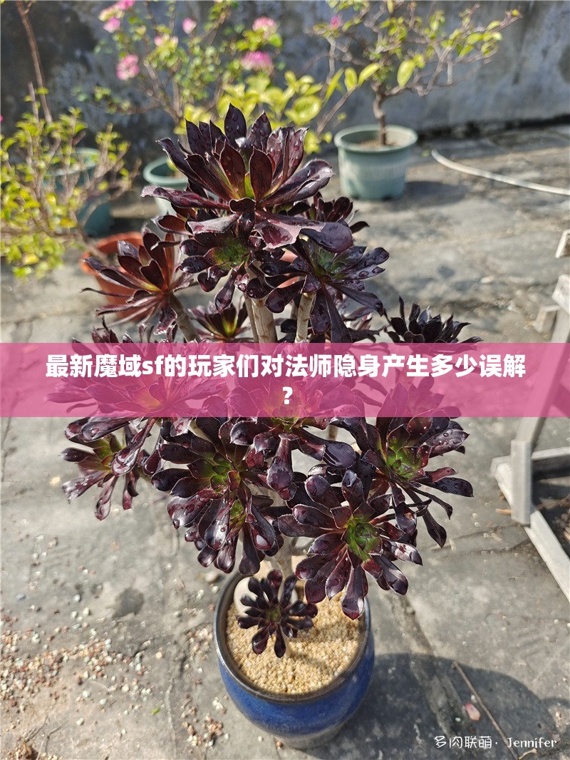 最新魔域sf的玩家们对法师隐身产生多少误解？