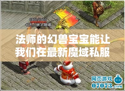 法师的幻兽宝宝能让我们在最新魔域私服发布网打好基础