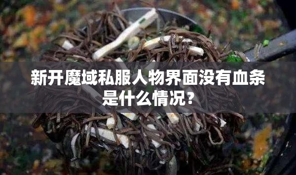 新开魔域私服人物界面没有血条是什么情况？
