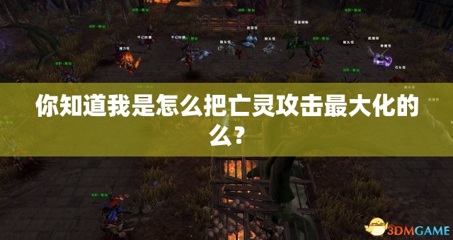 你知道我是怎么把亡灵攻击最大化的么？