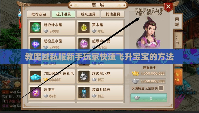 教魔域私服新手玩家快速飞升宝宝的方法