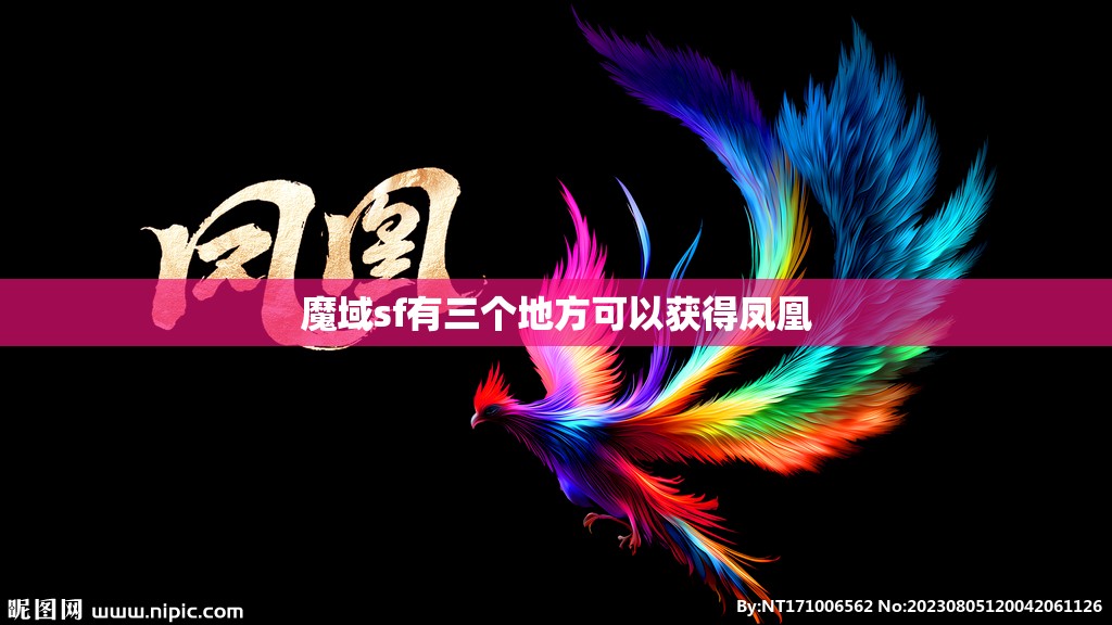 魔域sf有三个地方可以获得凤凰