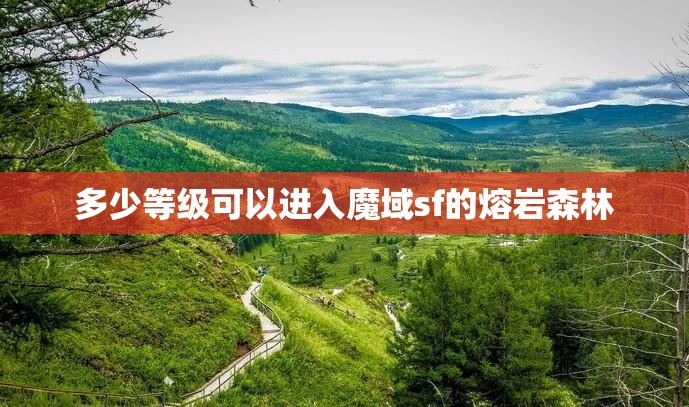 多少等级可以进入魔域sf的熔岩森林