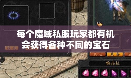 每个魔域私服玩家都有机会获得各种不同的宝石