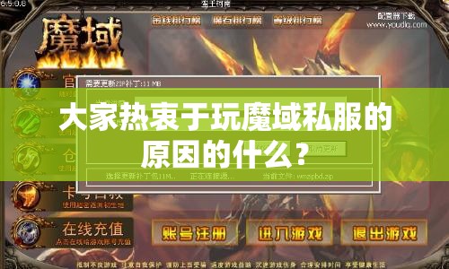 大家热衷于玩魔域私服的原因的什么？