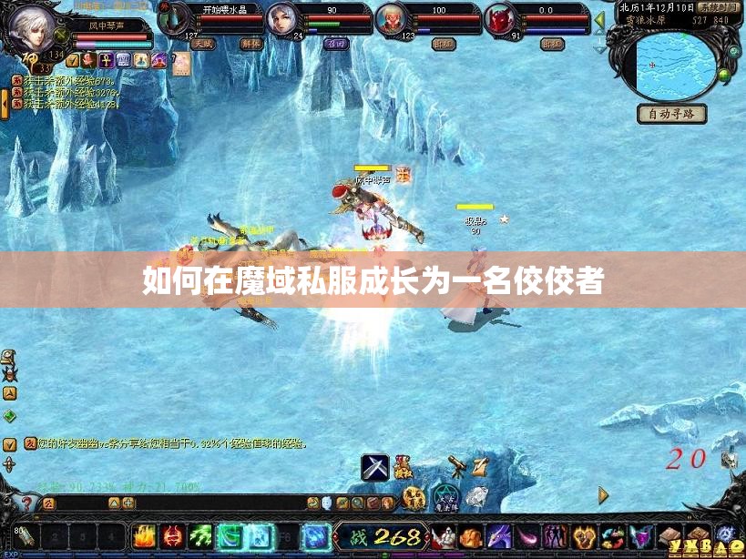 如何在魔域私服成长为一名佼佼者