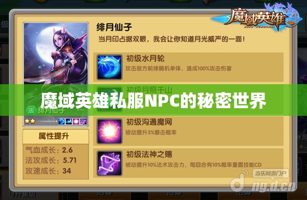 魔域英雄私服NPC的秘密世界