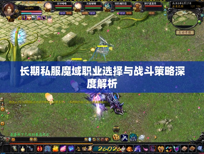 长期私服魔域职业选择与战斗策略深度解析