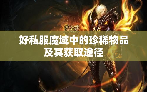 好私服魔域中的珍稀物品及其获取途径