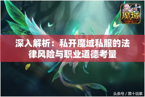 深入解析：私开魔域私服的法律风险与职业道德考量